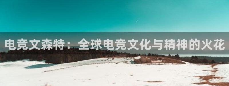 ky电竞：电竞文森特：全球电竞文化与精神的火花