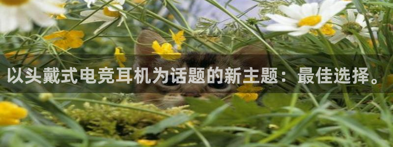 ky电竞：以头戴式电竞耳机为话题的新主题：最佳选择。