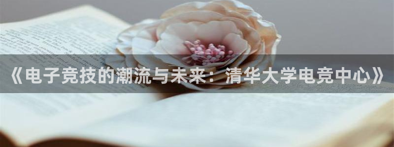 ky开元电竞：《电子竞技的潮流与未来：清华大学电竞中心》