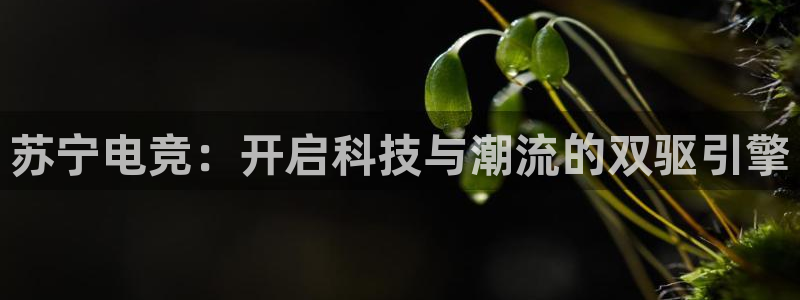 ky电竞：苏宁电竞：开启科技与潮流的双驱引擎