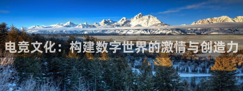 ky电竞馆：电竞文化：构建数字世界的激情与创造力
